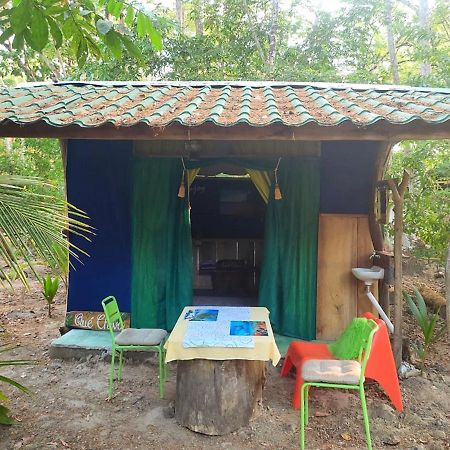Jungle Tent 3X3, Latino Glamping & Tours, ปาเกรา ภายนอก รูปภาพ