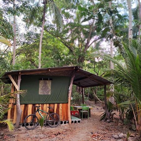 Jungle Tent 3X3, Latino Glamping & Tours, ปาเกรา ภายนอก รูปภาพ