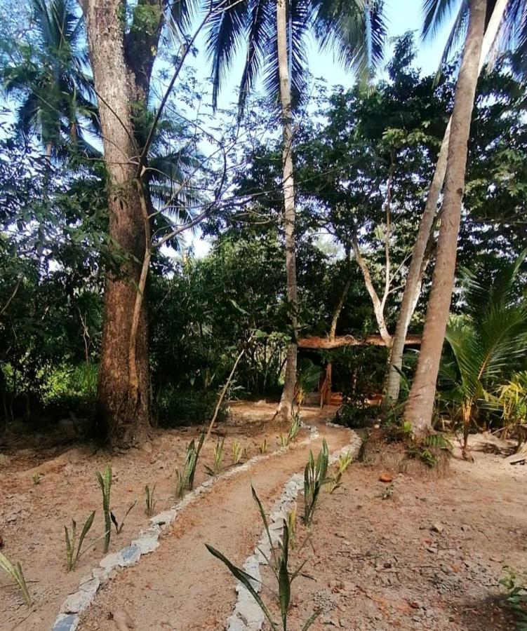 Jungle Tent 3X3, Latino Glamping & Tours, ปาเกรา ภายนอก รูปภาพ