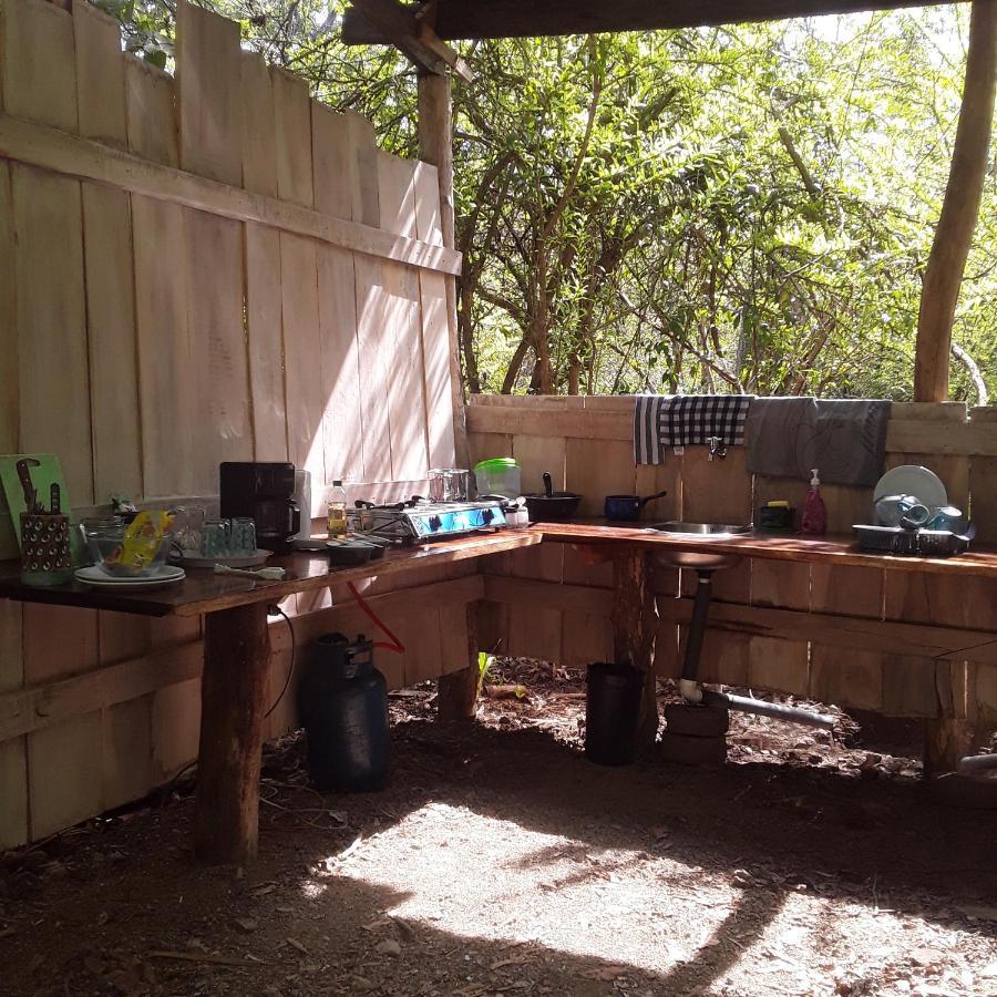 Jungle Tent 3X3, Latino Glamping & Tours, ปาเกรา ภายนอก รูปภาพ
