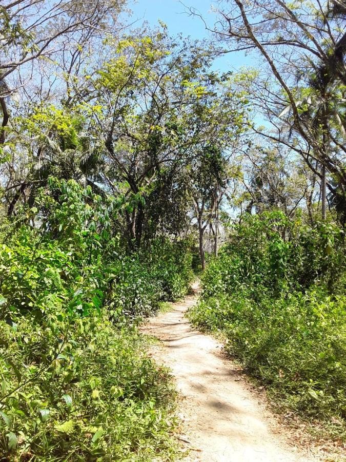 Jungle Tent 3X3, Latino Glamping & Tours, ปาเกรา ภายนอก รูปภาพ