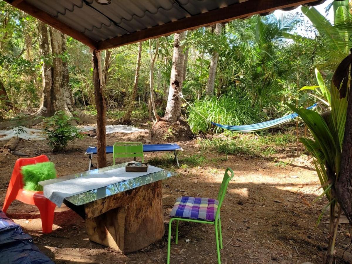 Jungle Tent 3X3, Latino Glamping & Tours, ปาเกรา ภายนอก รูปภาพ