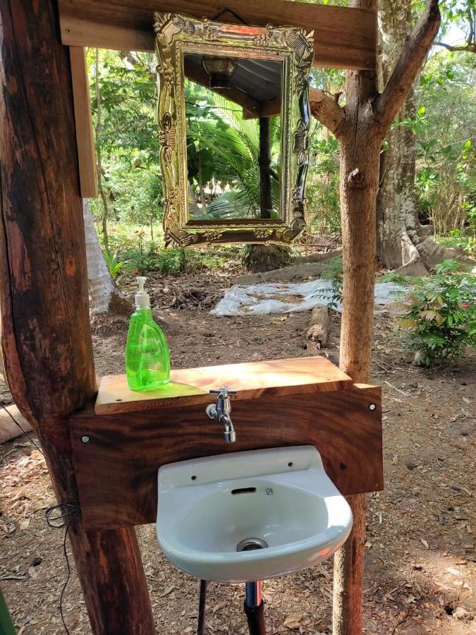 Jungle Tent 3X3, Latino Glamping & Tours, ปาเกรา ภายนอก รูปภาพ