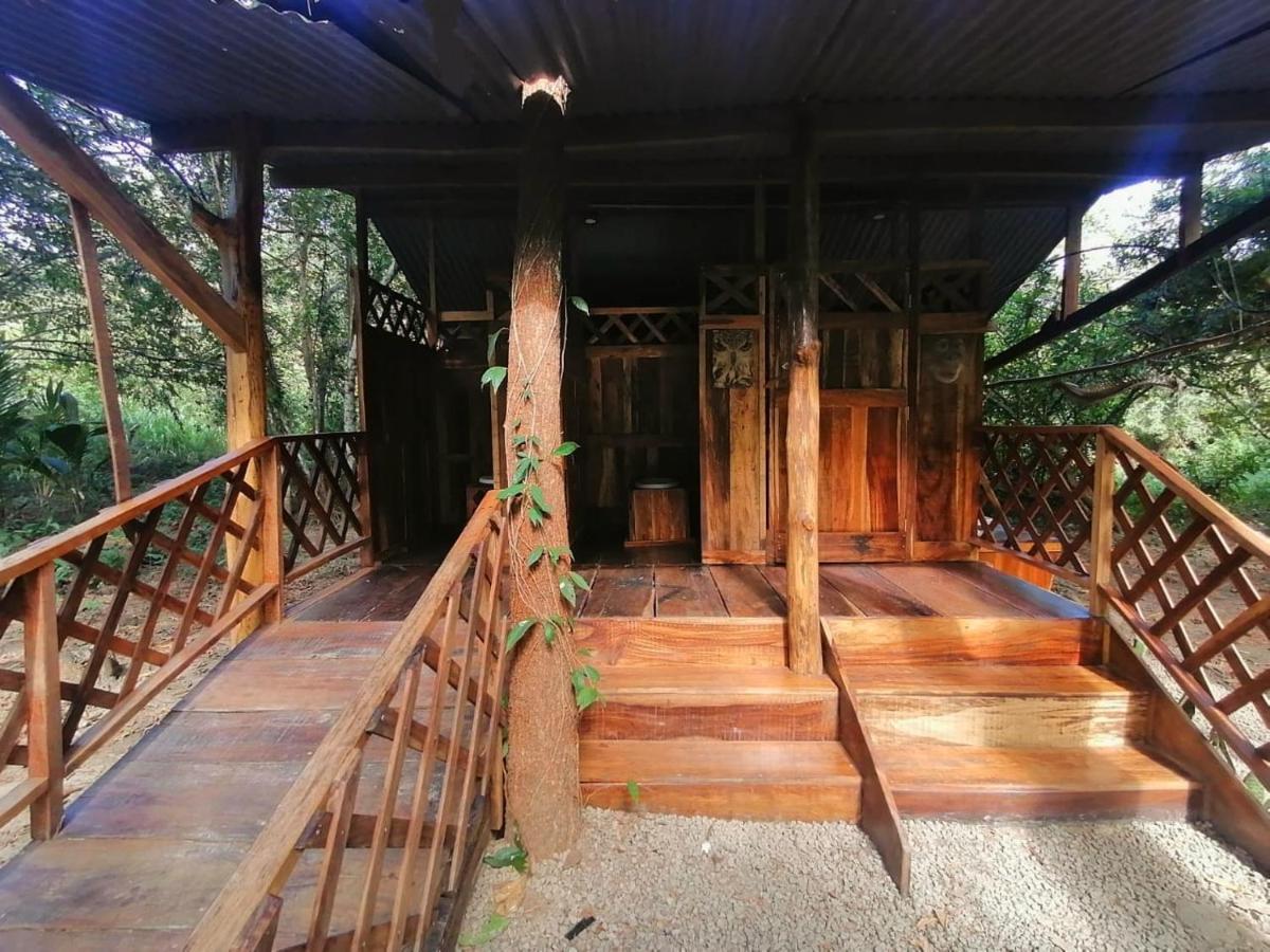 Jungle Tent 3X3, Latino Glamping & Tours, ปาเกรา ภายนอก รูปภาพ