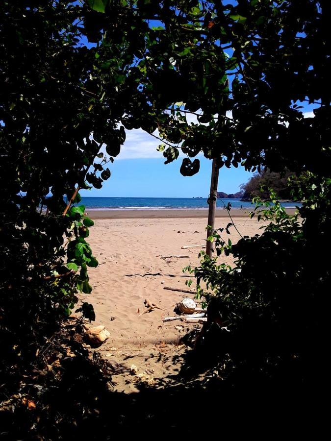Jungle Tent 3X3, Latino Glamping & Tours, ปาเกรา ภายนอก รูปภาพ