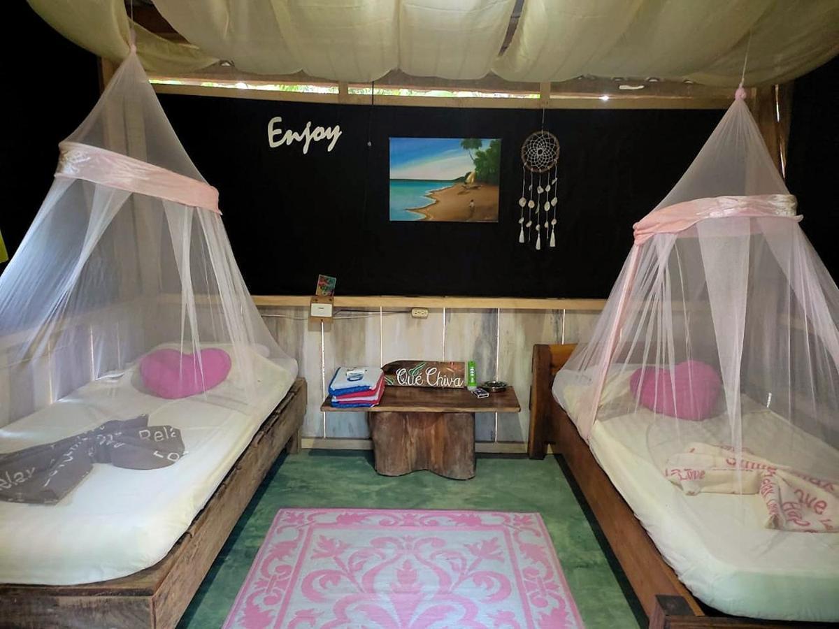 Jungle Tent 3X3, Latino Glamping & Tours, ปาเกรา ภายนอก รูปภาพ
