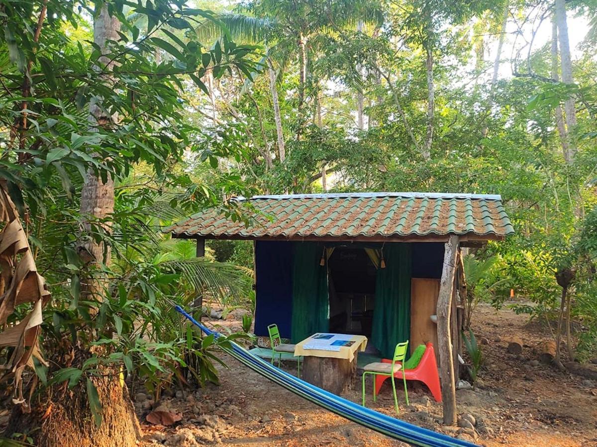 Jungle Tent 3X3, Latino Glamping & Tours, ปาเกรา ภายนอก รูปภาพ