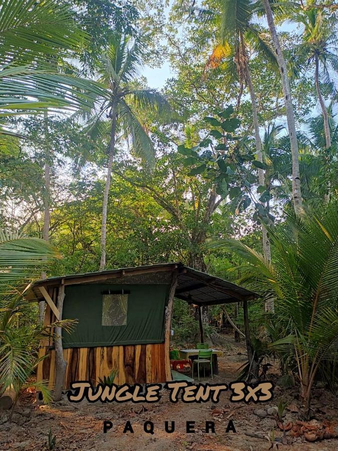 Jungle Tent 3X3, Latino Glamping & Tours, ปาเกรา ภายนอก รูปภาพ