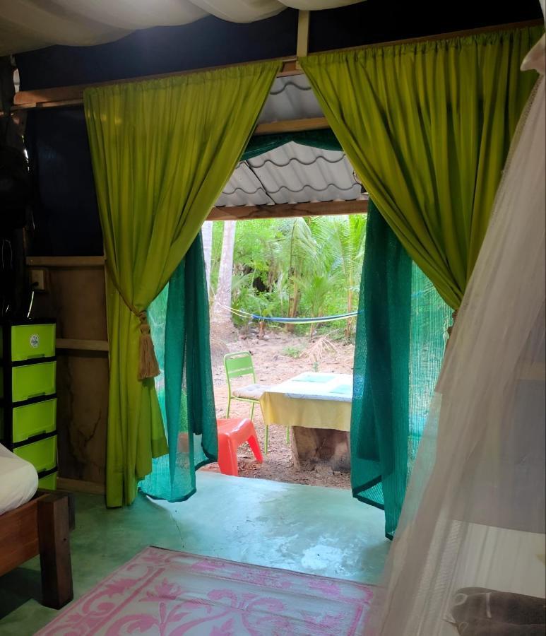 Jungle Tent 3X3, Latino Glamping & Tours, ปาเกรา ภายนอก รูปภาพ