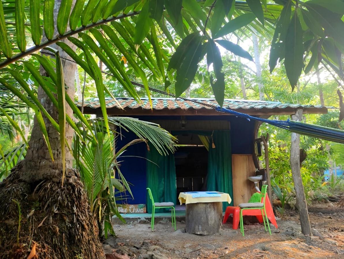 Jungle Tent 3X3, Latino Glamping & Tours, ปาเกรา ภายนอก รูปภาพ