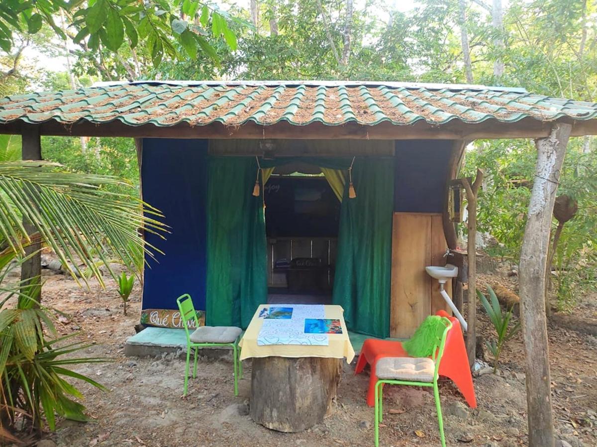 Jungle Tent 3X3, Latino Glamping & Tours, ปาเกรา ภายนอก รูปภาพ