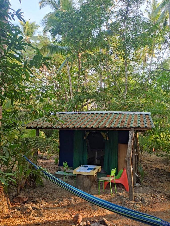 Jungle Tent 3X3, Latino Glamping & Tours, ปาเกรา ภายนอก รูปภาพ