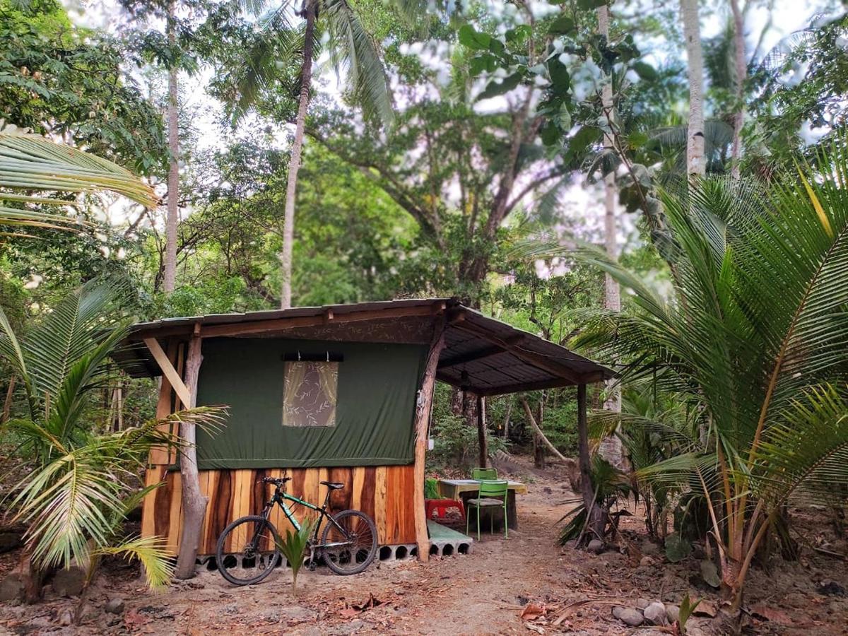 Jungle Tent 3X3, Latino Glamping & Tours, ปาเกรา ภายนอก รูปภาพ