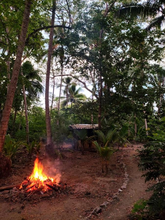 Jungle Tent 3X3, Latino Glamping & Tours, ปาเกรา ภายนอก รูปภาพ