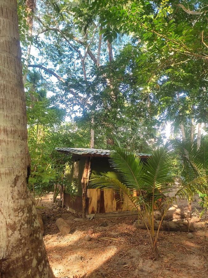 Jungle Tent 3X3, Latino Glamping & Tours, ปาเกรา ภายนอก รูปภาพ