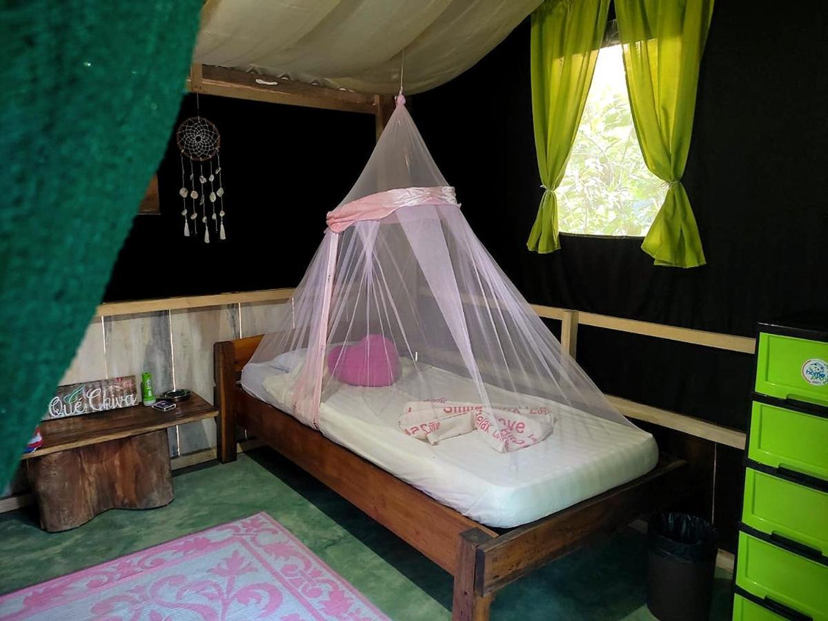 Jungle Tent 3X3, Latino Glamping & Tours, ปาเกรา ภายนอก รูปภาพ