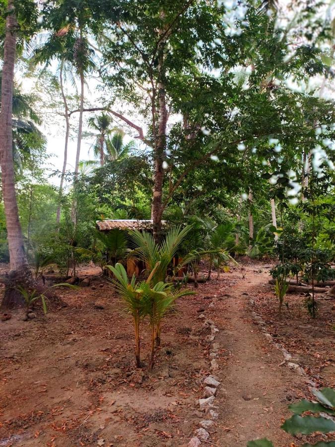 Jungle Tent 3X3, Latino Glamping & Tours, ปาเกรา ภายนอก รูปภาพ