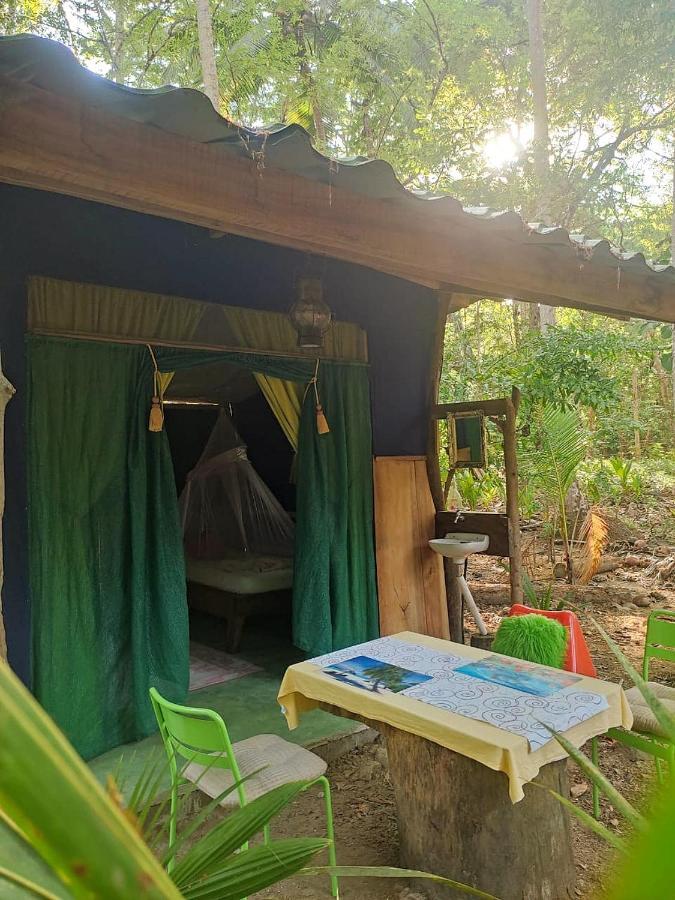 Jungle Tent 3X3, Latino Glamping & Tours, ปาเกรา ภายนอก รูปภาพ
