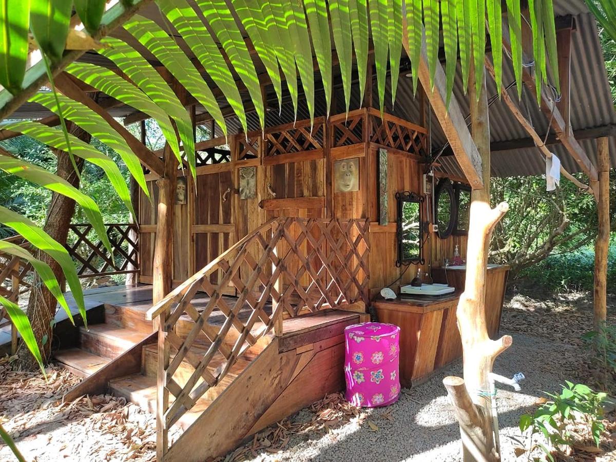 Jungle Tent 3X3, Latino Glamping & Tours, ปาเกรา ภายนอก รูปภาพ