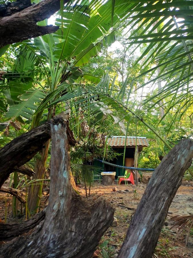 Jungle Tent 3X3, Latino Glamping & Tours, ปาเกรา ภายนอก รูปภาพ